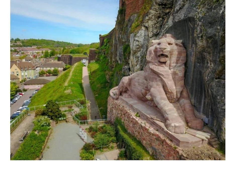 Maison Entre Ville Et Montagne Valdoie المظهر الخارجي الصورة